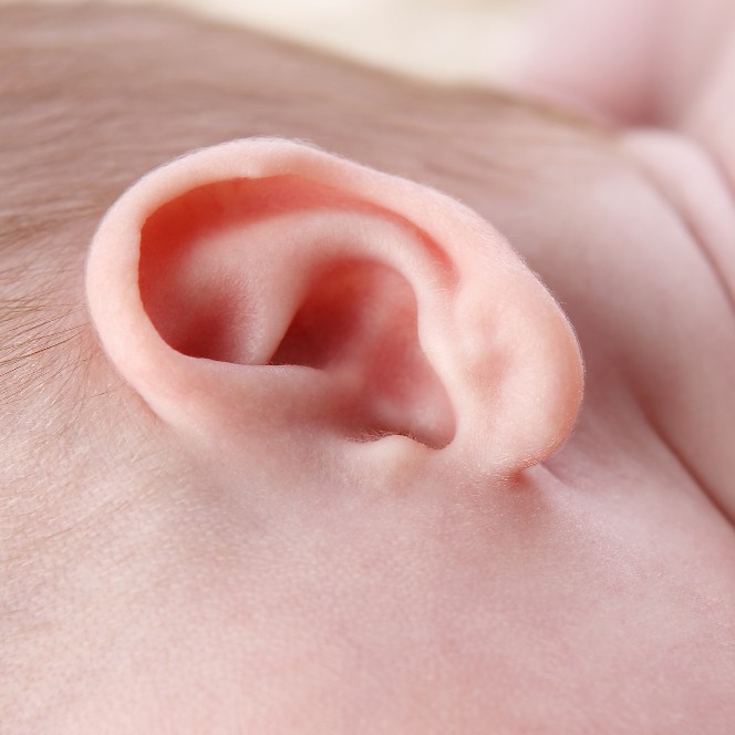 imagine ureche bebe
