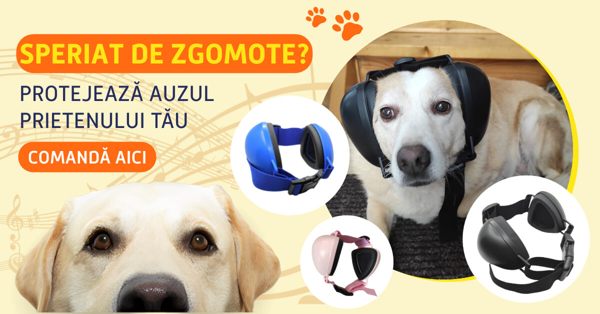 banner cu caine care poarta casti antifonice