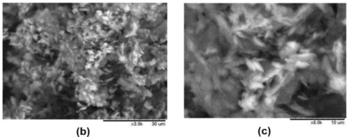 Imagini SEM ale nanoplachetelor de grafen
