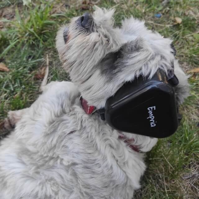 bubu care poarta casti antifonice negre