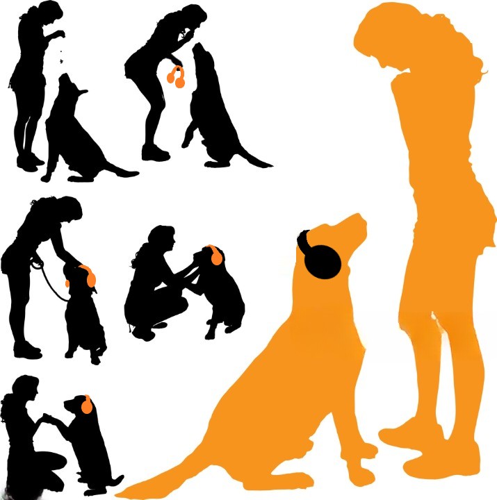 diverse imagini cu stapana si cainele in momentul in care incearca sa puna castile antifonice