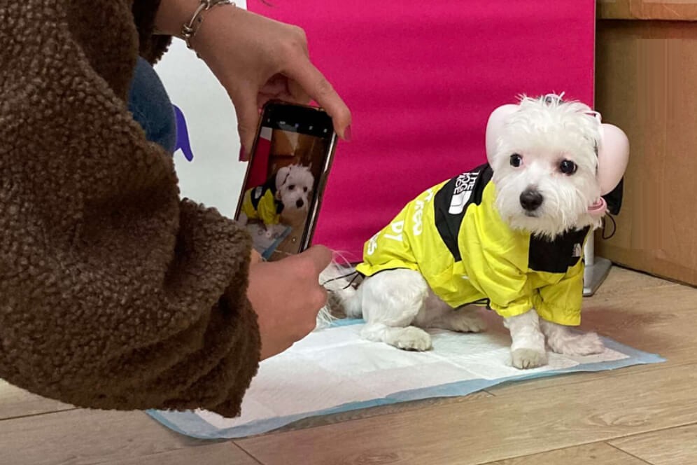 imagine cu Lulu cu castile antifonice pe cap care sta la pozat