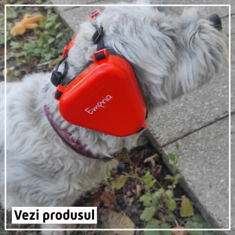 Casti antifonice pentru caini, masura universala, Portocaliu, Empria