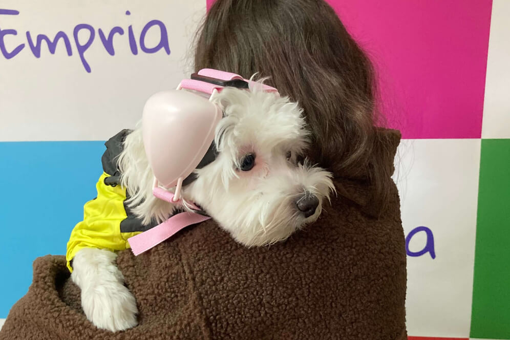 Cainele magazinului Empria - Lulu cu casti antifonice si hainuta pentru caldura luata in brate