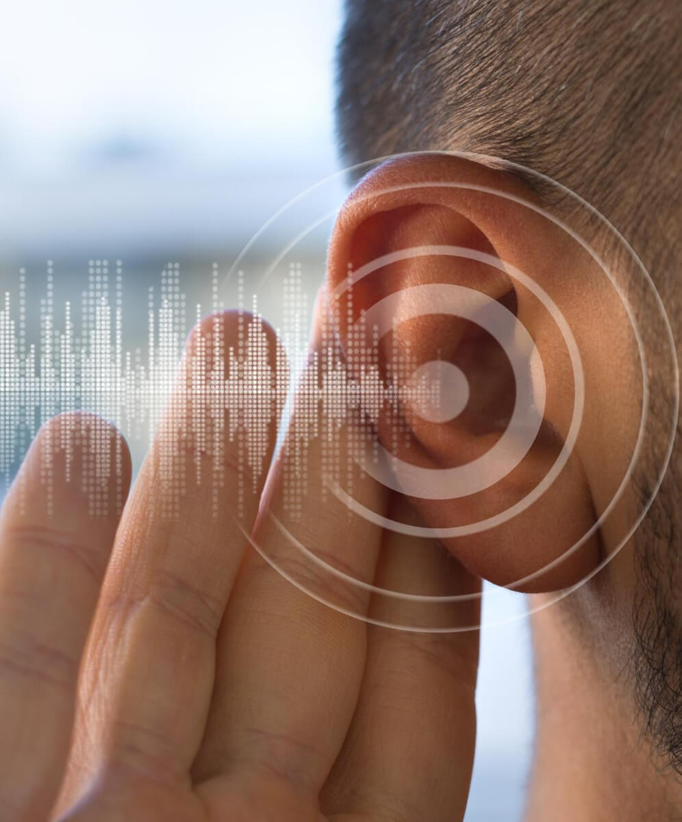 imagine cu ureche si o grafica ce reprezinta auzul