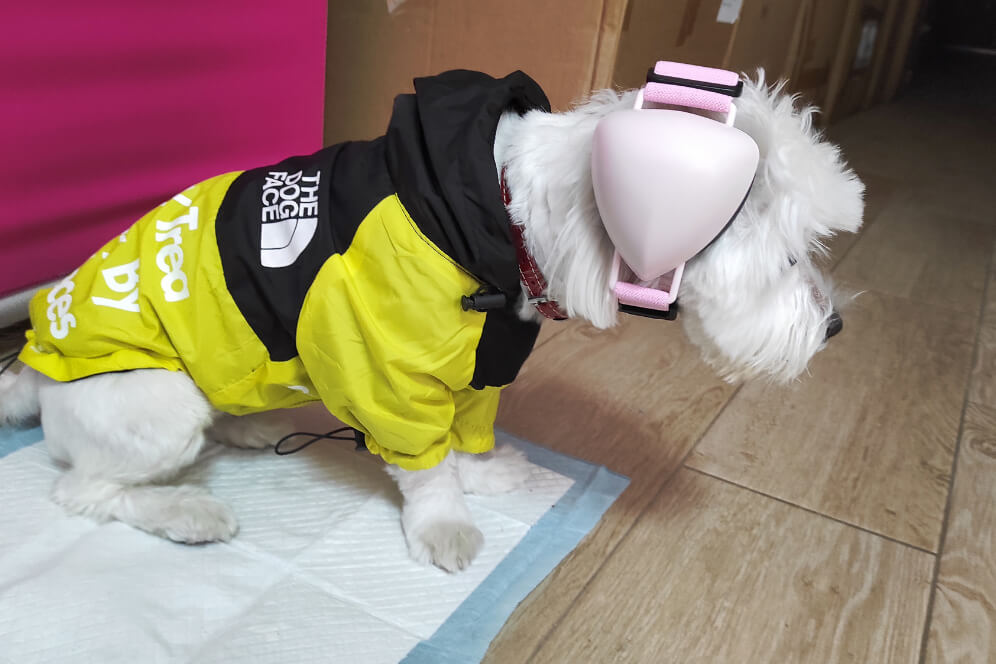 imagine cu lulu cu castile antifonice pe cap 