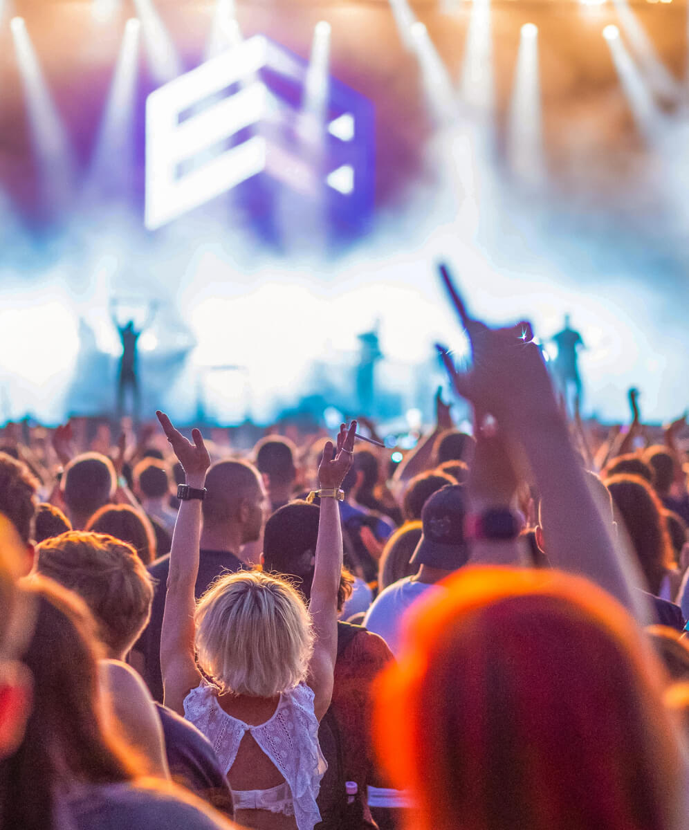 concert, multe maini in aer