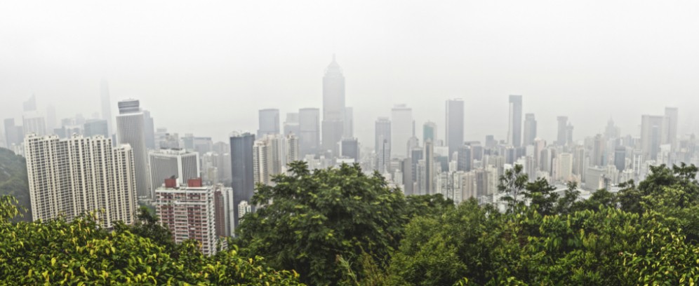 in prim plan este vegetatie si in fundal sunt blocuri mari